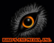 BIRDSEYEMEDIAINC_CorpLogoWeb.jpg