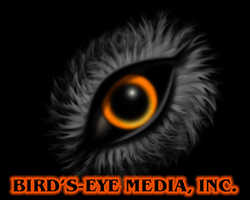 BIRDSEYEMEDIAINC_CorpLogoWeb.jpg
